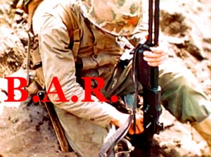 NEW  BROWNING AUTOMATIC RIFLE ENCYCLOPEDIA CD  B.A.R. GUN  NEW PLUS DVD - Picture 1 of 5