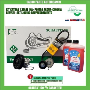 Kit catena distribuzione INA 1.3 multijet + pompa+cinghia+tendicinghia+liquido - Foto 1 di 6