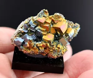 Natural ultra rainbow iridescent Pyrite crystal. Las Minas, Veracruz, Mexico - Picture 1 of 7