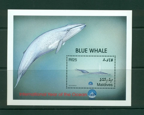 Maldive Islands  #2349 (1998 Blue Whale sheet) VFMNH CV $4.50 Cover