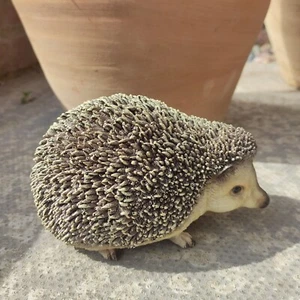 Vivid Arts Pygmy Hedgehog Pet Pal Garden Decoration - Picture 1 of 9