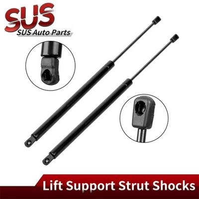 Puntales de soporte de elevación de puerta levadiza trasera 2 piezas para Ford Freestyle 2006-2007 SG204065 Foto 1 de 4