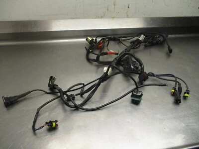 Arnés de cableado principal Ducati 900SS Super Sport 1999 Foto 1 de 4