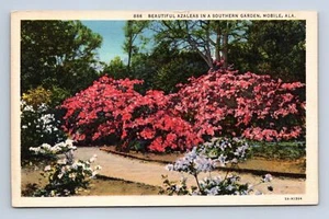 Schöne Azaleen Southern Garden Mobile Alabama Postkarte unbesendet - Bild 1 von 2