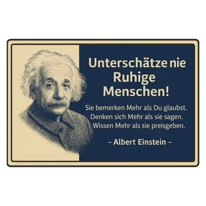 Albert Einstein Quote Metal Sign 20x30cm Decorative Sign Shield Metal Label - Picture 1 of 4