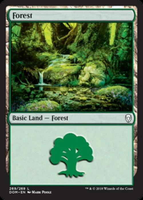 Forest (269) -Foil Near Mint MTG Dominaria - Image 1 of 1