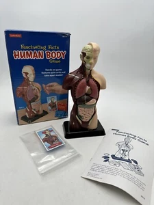 Lakeshore Fascinating Facts Human Body Game Anatomy Removable Organs Cards EUC - Picture 1 of 23