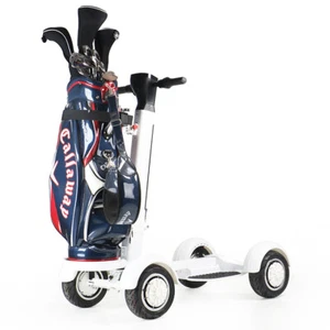 Electric Golf Cart 2000W 48V 20km/h 10" Tire Four Wheel Golf Skateboard Cart New - Picture 1 of 17