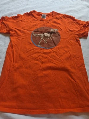 Gildan t shirt boys size small (6/7). Gray t shirt with dinosaur decal. - Image 1 of 4