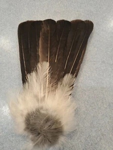 X Eurasian Jay Bird Full Tail Feathers JB22 - Imagen 1 de 2