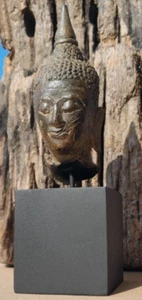 Ayutthaya Buddha Kopf Fragment - Bronze, 13.-15. Jahrhundert mit GRATIS Display Halterung - Bild 1 von 16