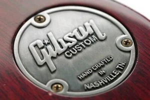 Gitarre Kippschalter Rückplatte Abdeckung für Gibson LP Les Paul Gitarrenteile - Bild 1 von 1