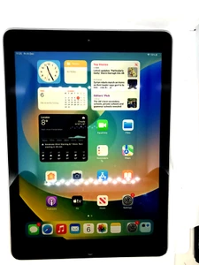 Apple iPad 5. Gen 2017. 32 GB, WLAN, 9,7 Zoll – grau – Beschreibung lesen – P73 - Bild 1 von 7