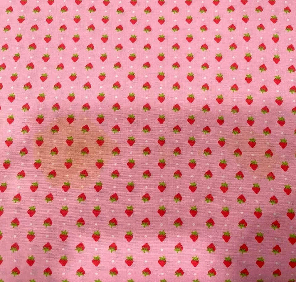 VINTAGE! STRAWBERRY SHORTCAKE bagas/rosa - 1980 - BTFQ - 18"X22" - Imagem 1 de 1