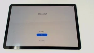 Samsung Galaxy Tab S6 10.5" Tablet SM-T867V (Gray 128GB 6GB) Verizon BROWN LCD - Afbeelding 1 van 2
