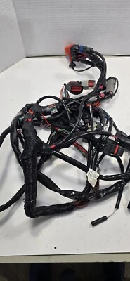 ARNÉS DE CABLEADO PRINCIPAL HARLEY-DAVIDSON STREET GLIDE CVO FLHXSE 69200479B Foto 1 de 4