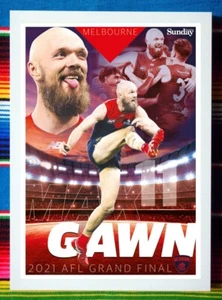 Framed 2021 MELBOURNE DEMONS AFL Premiers Poster MAX GAWN - 84cm x 59.5cm - Picture 1 of 3