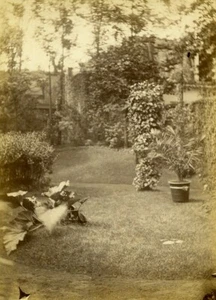 Algeria Algiers Alger Doctor Roussot Villa Garden old Photo 1890 #1 - Picture 1 of 3