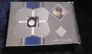 2013 Press Pass Total Memorabilia #TM-DG David Gilliland