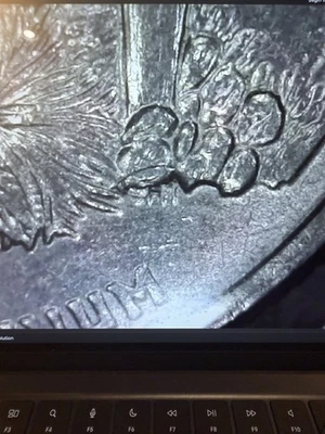 2008 P Arizona Quarter with " Extra Cactus Leaf " Die Chip Error - Image 1 of 3