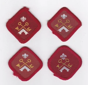 Scouts británicos/reino Unido de 1980 - insignia de competencia de Camp Warden Scout (4 VAR) - Imagen 1 de 2