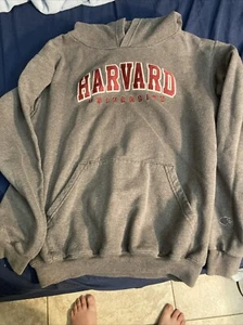 Champion Harvard Sweater Kids Xl Gray Pullover Hoodie Sweatshirt - Picture 1 of 4