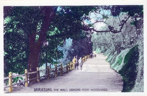 DARJEELING - The Mall Looking from Woodlands Real Photo Postcard rppc - Picture 1 of 2