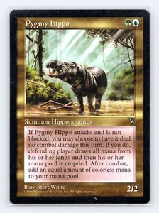 Visions Pygmy Hippo - Imagen 1 de 2