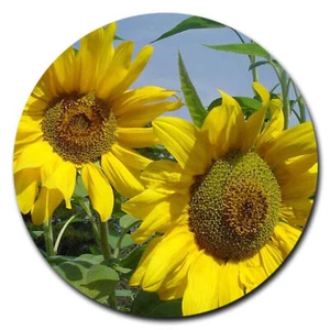 SUNFLOWER FLOWER Pendant Charm On 20" 925 Sterling Silver Necklace Women Gift - Picture 1 of 11