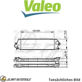 LADELUFTKÜHLER FÜR RENAULT TRAFIC/II/Bus/Kasten/Van/Pritsche/Fahrgestell/Rodeo  