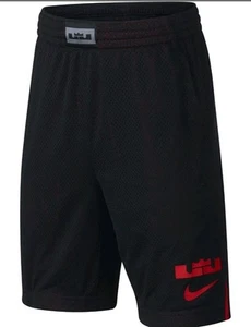 Nike Lebron Graphic Basketball Shorts In Boys XL Lined Dry Fit EUC 9 In Inseam - Picture 1 of 10