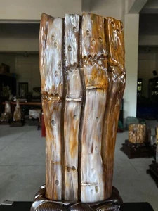 35.2LB TOP Natural Petrified Wood Quartz Crystal Mineral Specimen Reiki healing - Picture 1 of 9