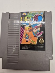 NES - T&C Surf Designs: Wood & Water Rage - Nintendo Skate Video Game