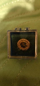 PIN DE SERVICIO 20 AÑOS POLICÍA DEL CONDADO DE NASSAU NY - Imagen 1 de 5