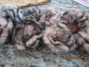 LOT OF 8 RABBIT PINS--2 1/2" ACROSS--PINK & BLACK--#Y4A - Picture 1 of 24