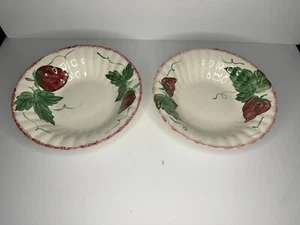 Coppia di ciotole da portata in ceramica cresta blu ""Berryville"" / un piccolo chip - Foto 1 di 12