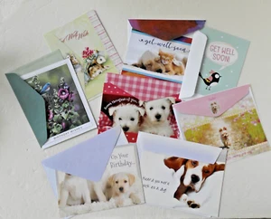 ANIMAL LOVERS GREETING CARDS 8 DESIGNS & MATCHING ENVELOPS ~ NEW - Picture 1 of 17