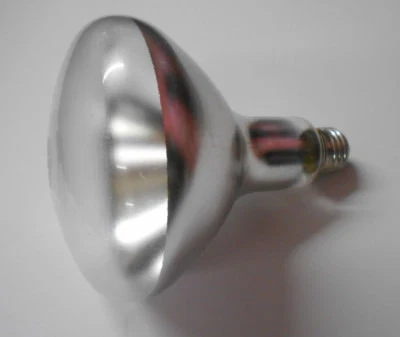 Westinghouse R40 Infrared Heat Lamp Unlensed 250 W E26 Medium Base Clear Boxed - Image 1 of 4