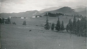 ZAKOPANE c. 1935 - Polen Foto P. Obstgarten - NV 3645 - Bild 1 von 2