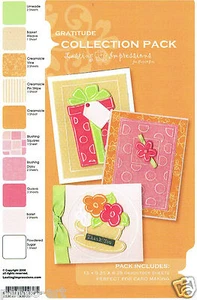 Papel de respaldo Lasting Impressions A5 Gratitude gracias rosa naranja verde - Imagen 1 de 1