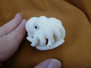 (TB-OCTO-1) white Octopus ball TAGUA NUT palm figurine Bali Oce reef octopi - Picture 1 of 3