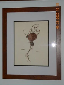 An interesting pen and ink drawing of a racoon in a dead end. Called Where to... - Picture 1 of 3