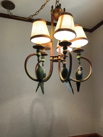 vintage chandelier birds & shades, early 2000's, tropical, beach, coastal decor Cover