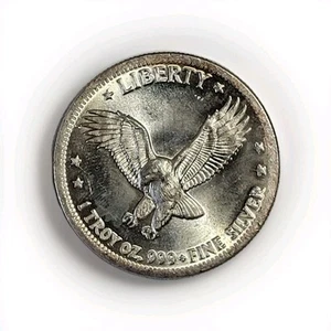 1 oz Silver The International Universal Trade Unit Round High Relief Eagle 0.999 - Imagen 1 de 4