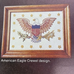 Vintage 1970er Paragon Crewel Volkskunst Sampler American Eagle Stickpackung - Bild 1 von 8