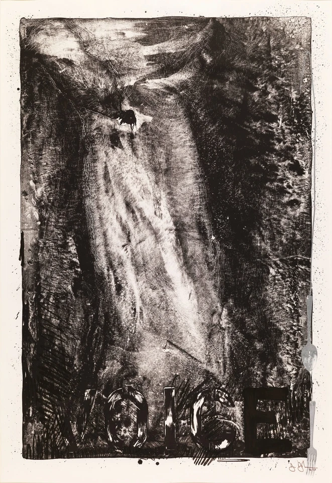 Jasper Johns: Voz 22x30 Calidad Archivo Bellas Artes Impresión Foto 1 de 1