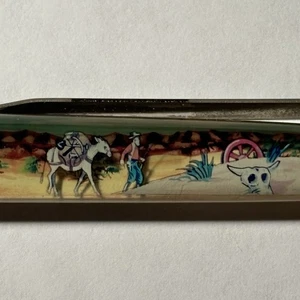 Death Valley California Floaty Pen Frontier Man Pack Pferd Maultier bewegt sich in der Wüste - Bild 1 von 11