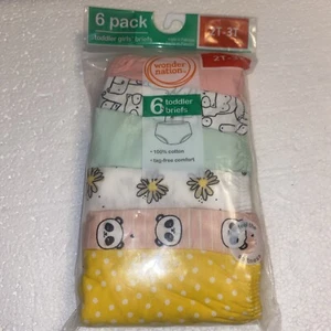 Toddler Girls Hipster Briefs 6 PACK (Size 2T-3T) BRAND NEW IN PACKAGE - Picture 1 of 5