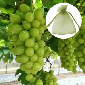 Drawstring Bags Mesh 50Pcs Fruit Protection Bag Best Control Plants Anti-Bird - Picture 1 of 19
