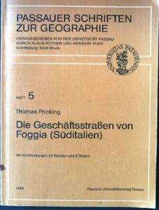 Die Geschäftsstrassen von Foggia (Süditalien). Passauer Schriften zur Geographie